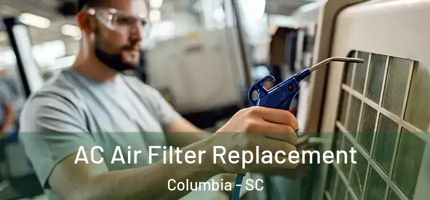 AC Air Filter Replacement Columbia - SC