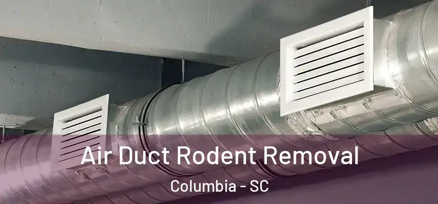 Air Duct Rodent Removal Columbia - SC