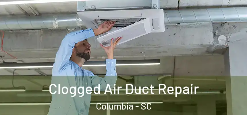 Clogged Air Duct Repair Columbia - SC