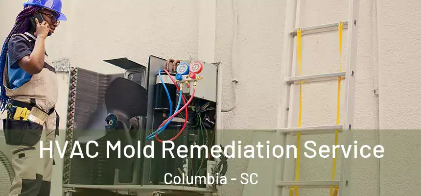 HVAC Mold Remediation Service Columbia - SC
