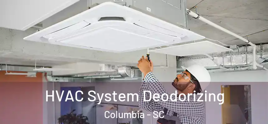  HVAC System Deodorizing Columbia - SC