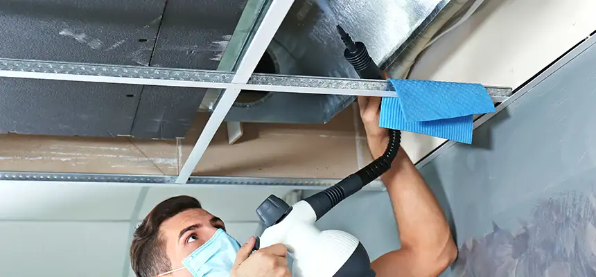 Our Air Duct Rodent Removal Services in Columbia, SC