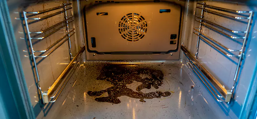 Our Dryer Vent Mold Cleaning Services in Columbia, SC