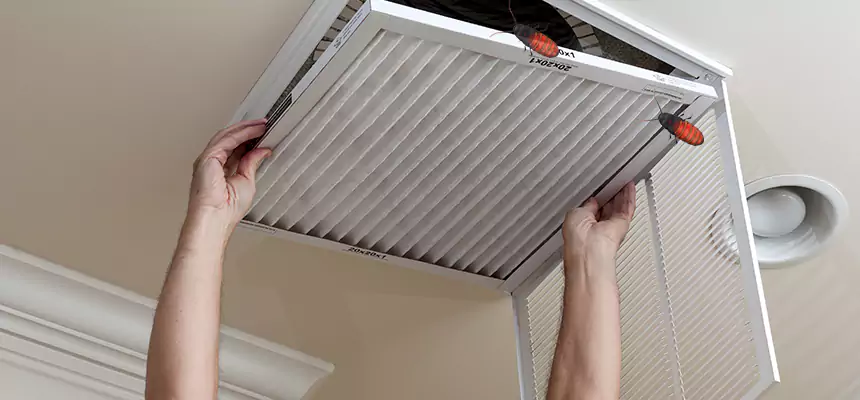 Our Insect Removal from Air Ducts Services in Columbia, SC