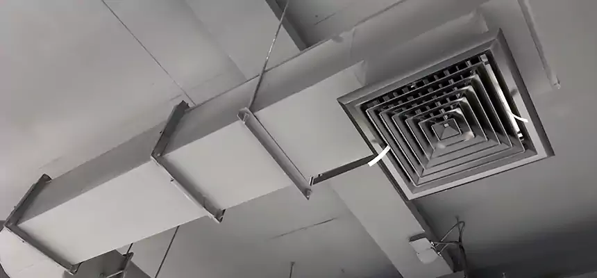 Our Pest Removal From Ducts Services in Columbia, SC