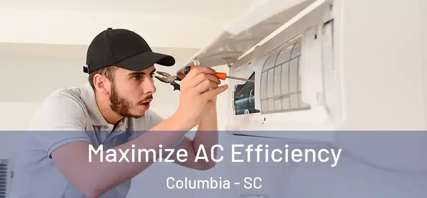 Maximize AC Efficiency Columbia - SC