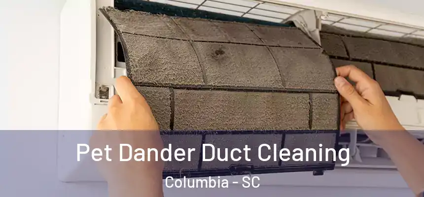 Pet Dander Duct Cleaning Columbia - SC