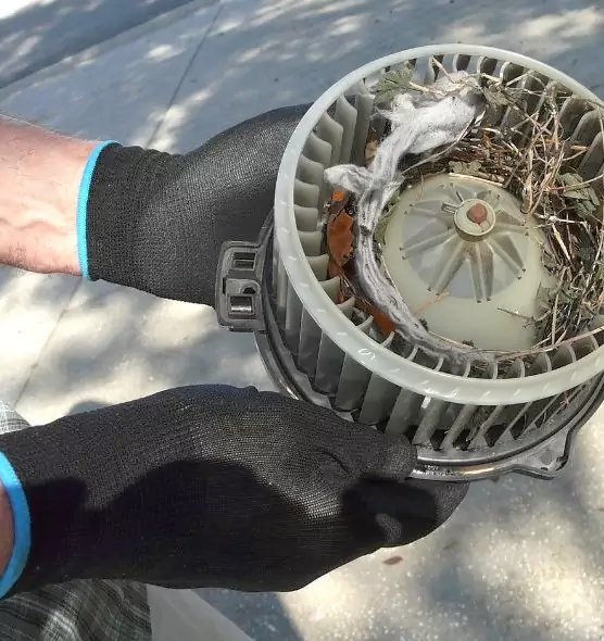 About Air Duct Rat Removal in Columbia, SC