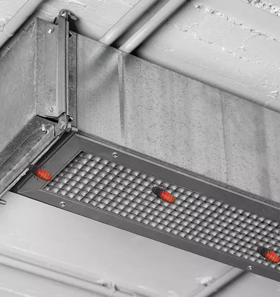 Affordable Insect Removal from Air Ducts in Columbia, SC
