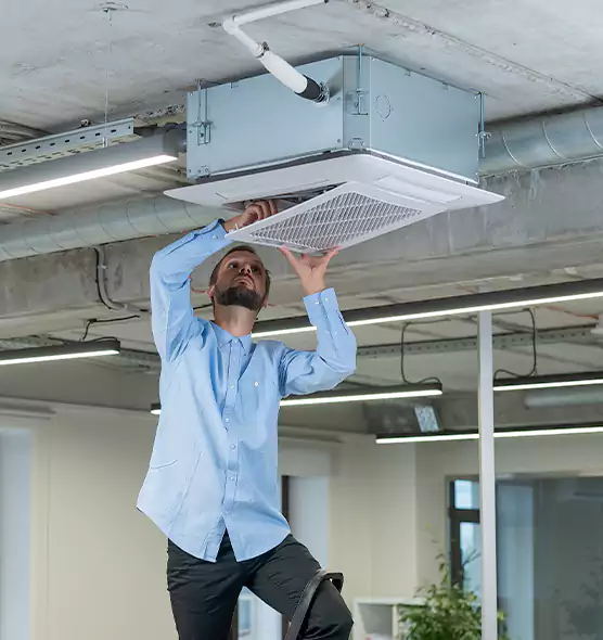 Advanced Rodent Droppings In Vents in Columbia, SC