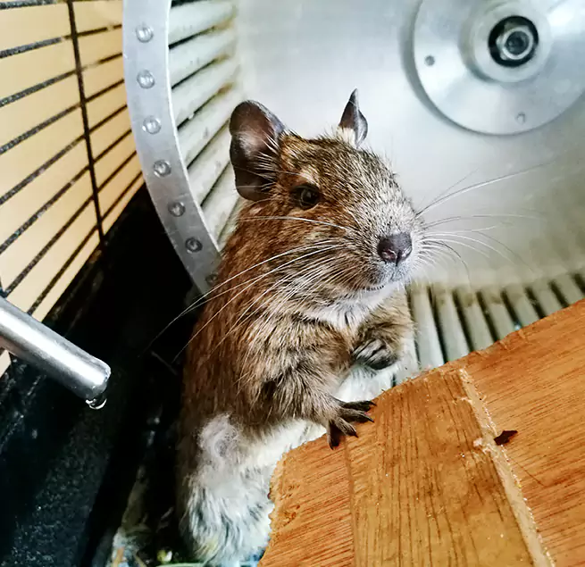 Why Homeowners & Businesses Trust Us Columbia, SC