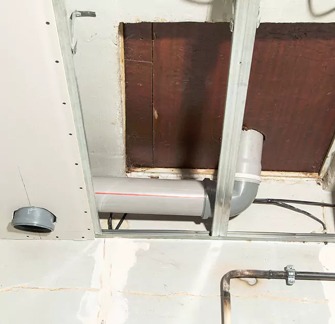 Why Homeowners & Businesses Trust Us in Columbia, SC?