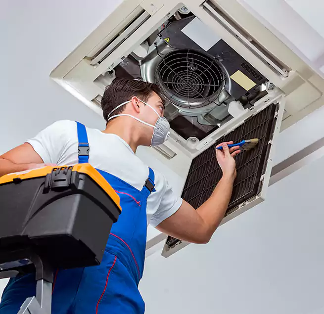 Why Homeowners & Businesses Trust Us in Columbia, SC