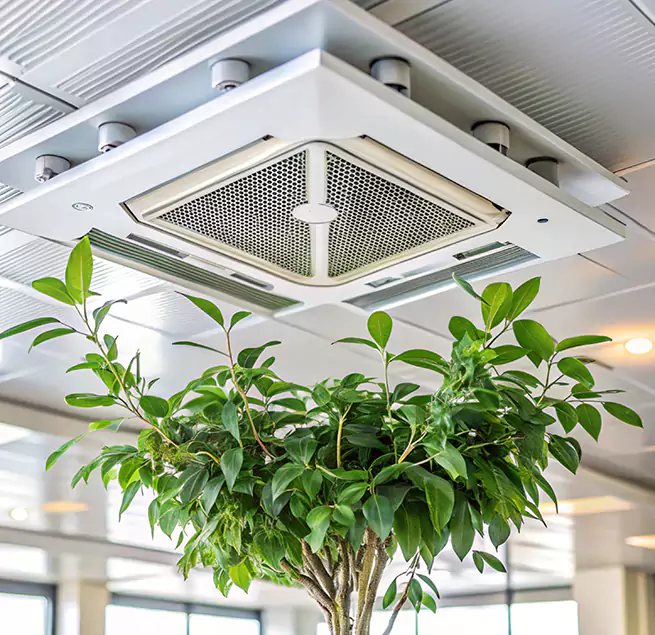 Why Homeowners & Businesses Trust Us in Columbia, SC?