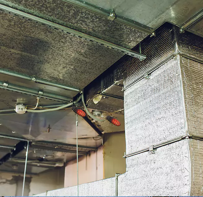 Why Homeowners & Businesses Trust Us Columbia, SC?