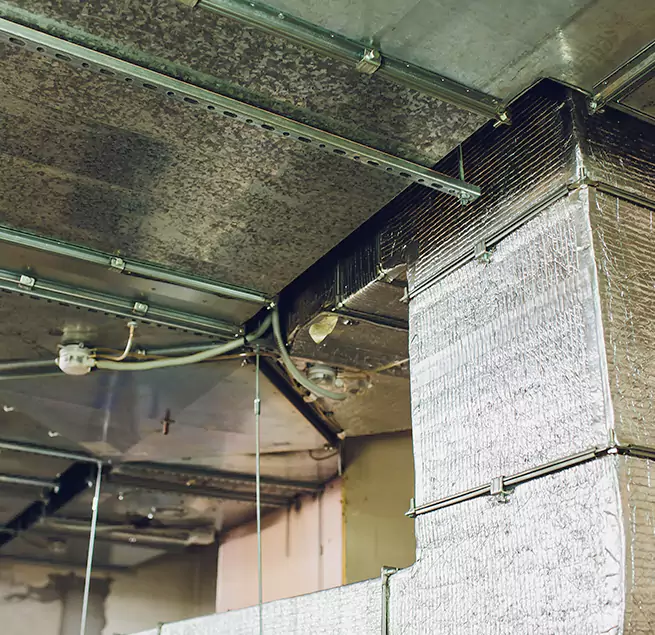 Why Homeowners & Businesses Trust Us in Columbia, SC?